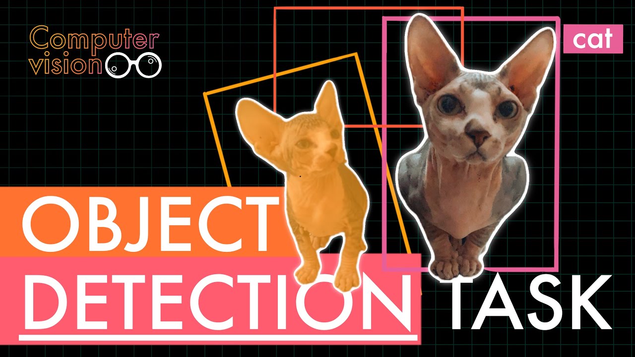 Introducing the Object Detection Task, CoCo dataset and mAP metric