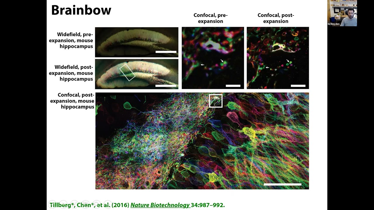 Ed Boyden - Optical Tools for Analyzing and Controlling Biological Systems