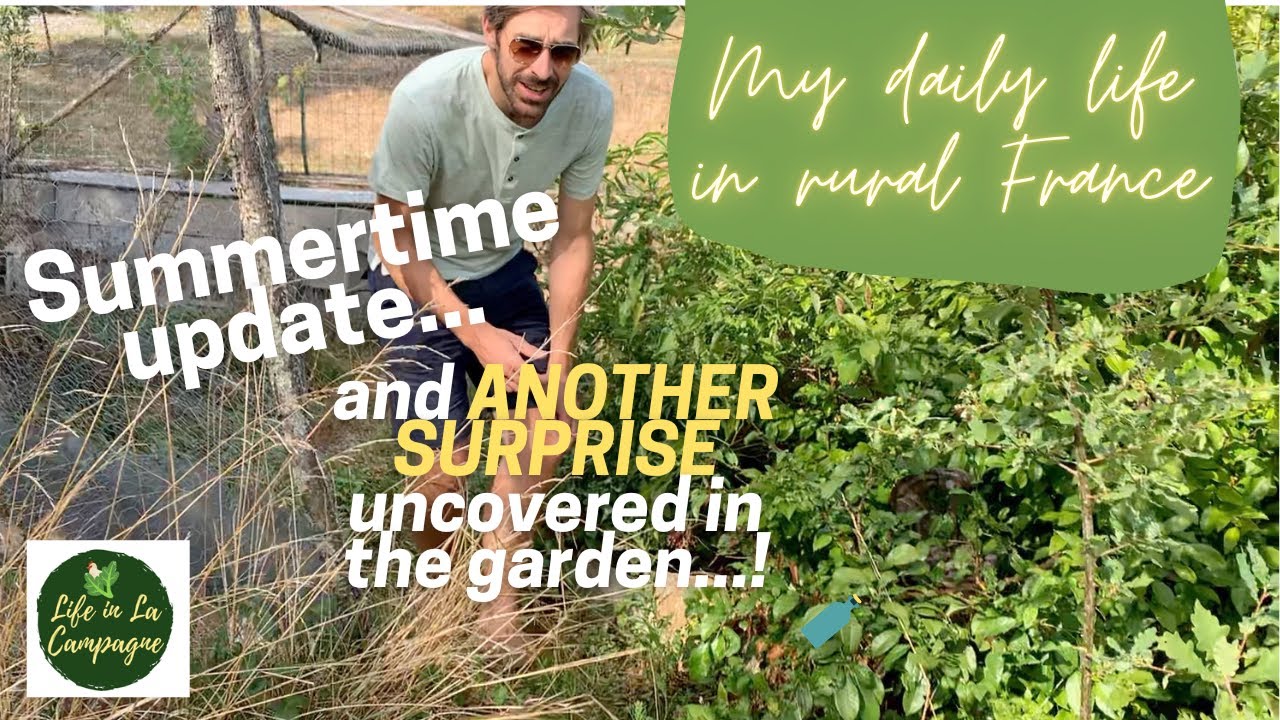 Summertime update and another surprise uncovered! -  My Daily Life in Rural France - Ep 35