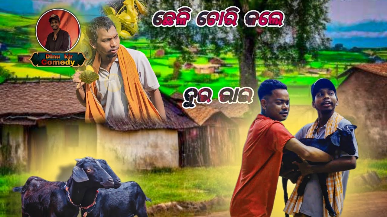 ଛେଳି ଚୋରି କଲେ ଦୁଇ ଭାଇ ।।chelichori kale dui bhai#odia comedy #shortfeed comedy #Mr Dinu kjr