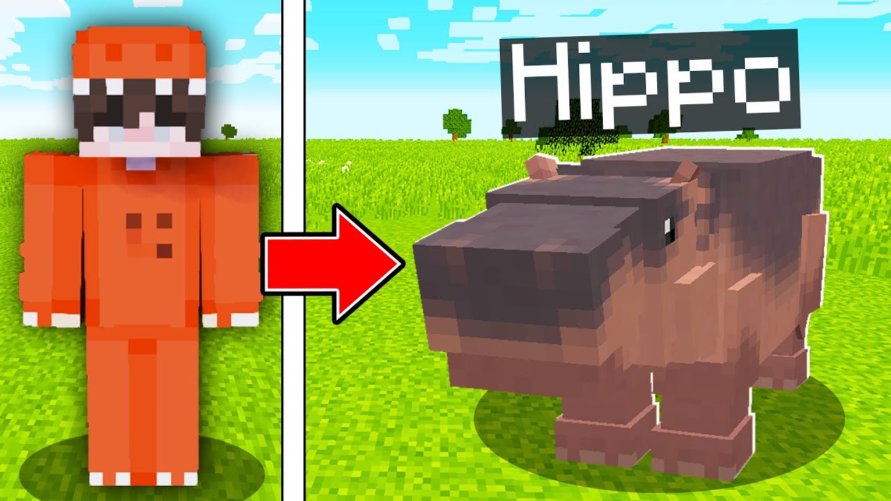 I Pranked My Friend as a Hippo in Minecraft!