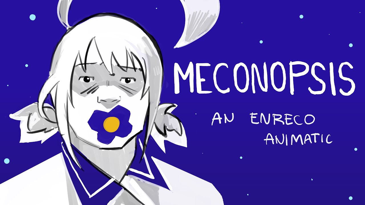 MECONOPSIS | ENReco Animatic (PART 1)