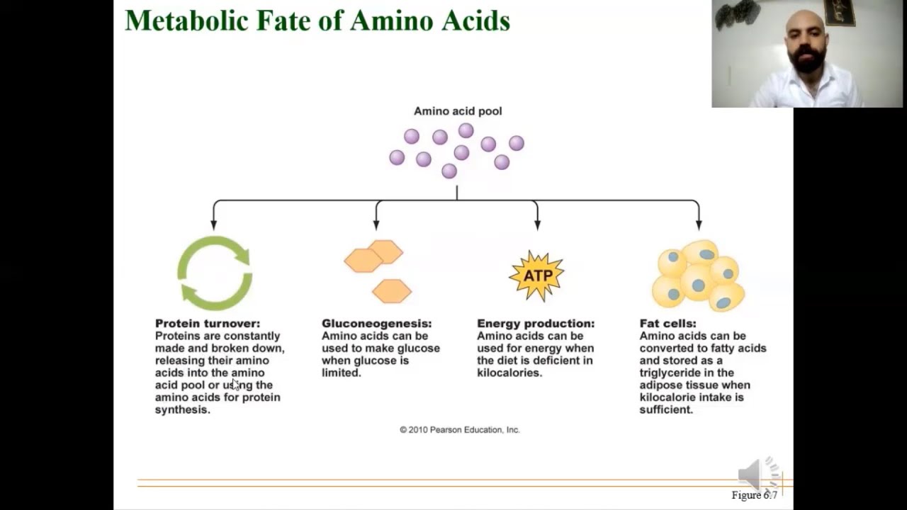 MBM Lec.1 Amino Acids part 1 (طب بغداد)