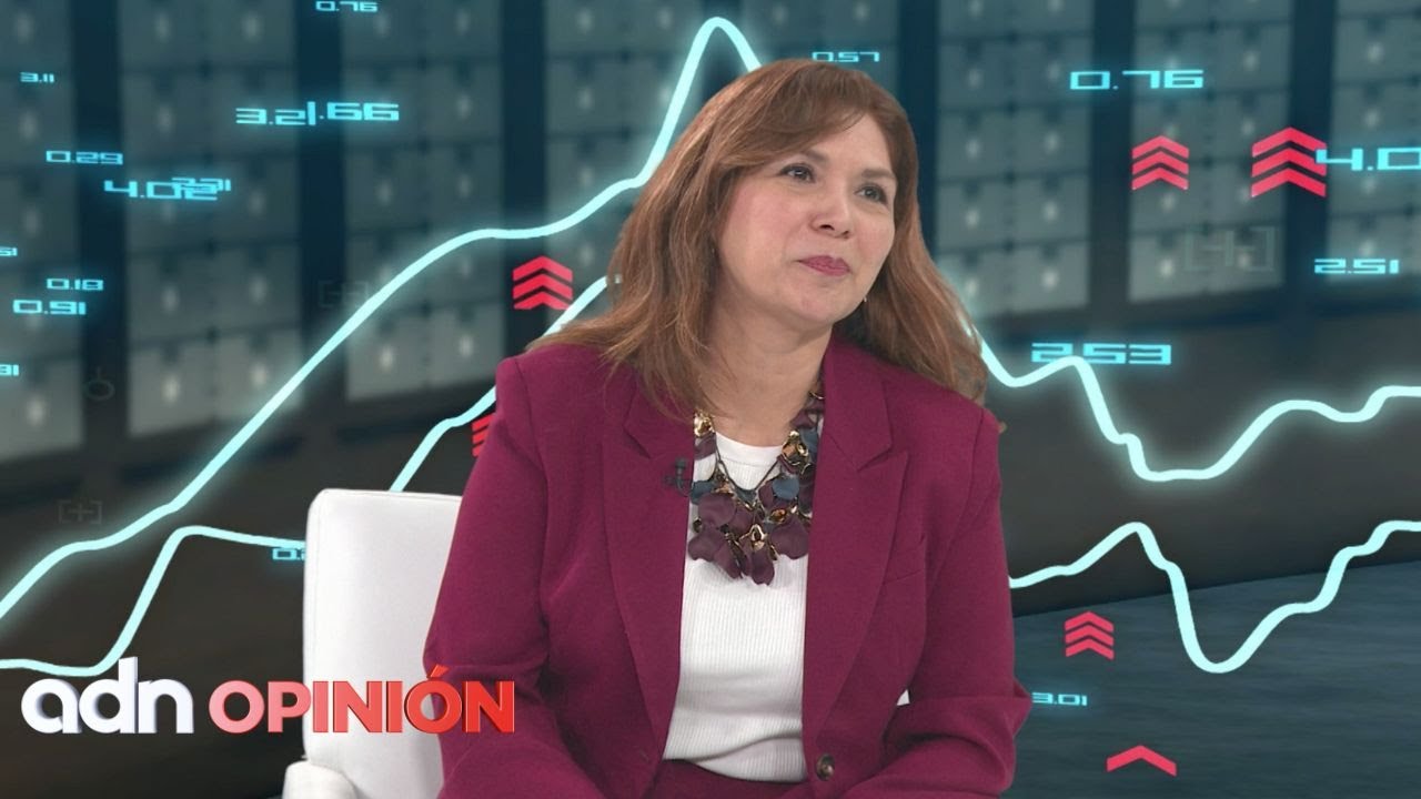 Horizonte del rubro de franquicias para este 2026 y evolución en 2025