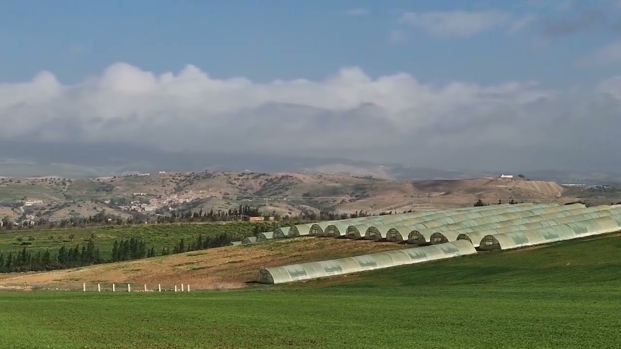 سحر الطبيعة… لحظات من الصفاء 🌄 