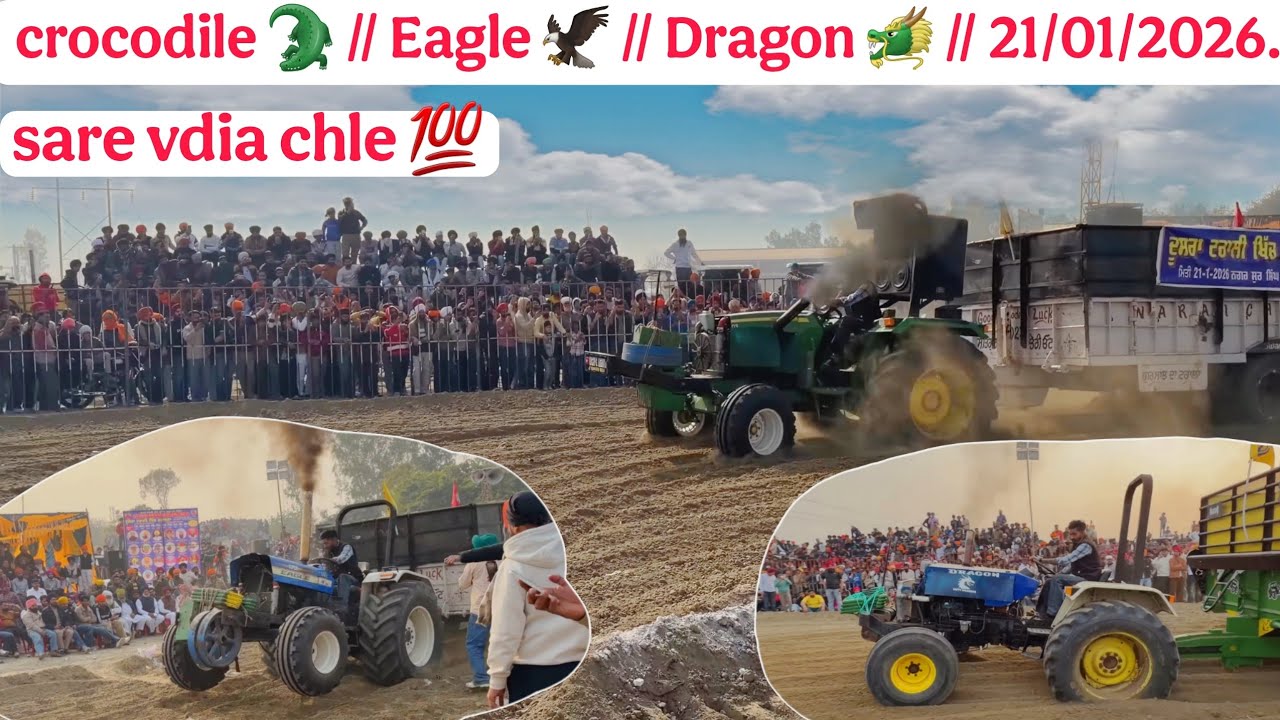 Crocodile🐊Eagle 🦅Dragon 🐲 trali mukabla lucky goldsmith 21/01/2026.john deere lover//tochan king