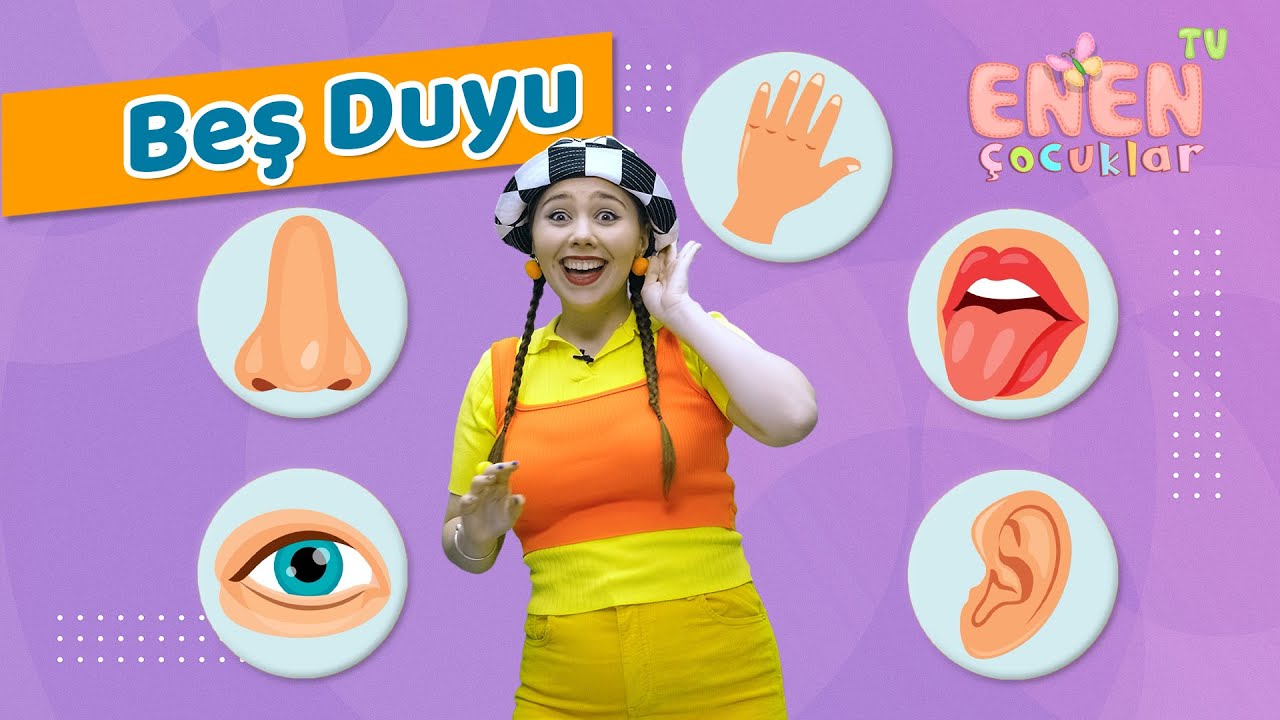 Çocuklar için beş duyuyu öğrenmek - Okul öncesi eğitim