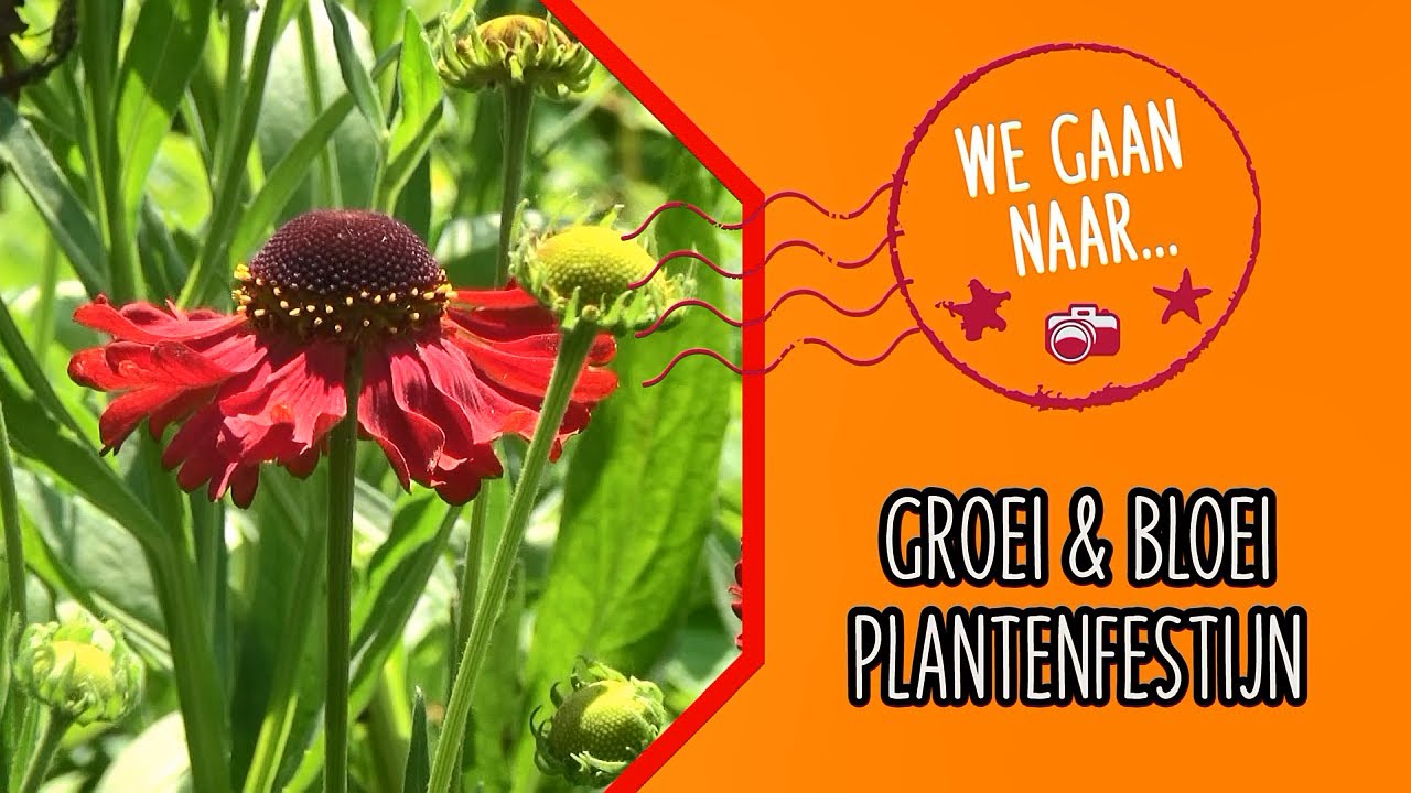 Groei & Bloei Plantenfestijn 2023 (We gaan naar...) - Langstraat TV