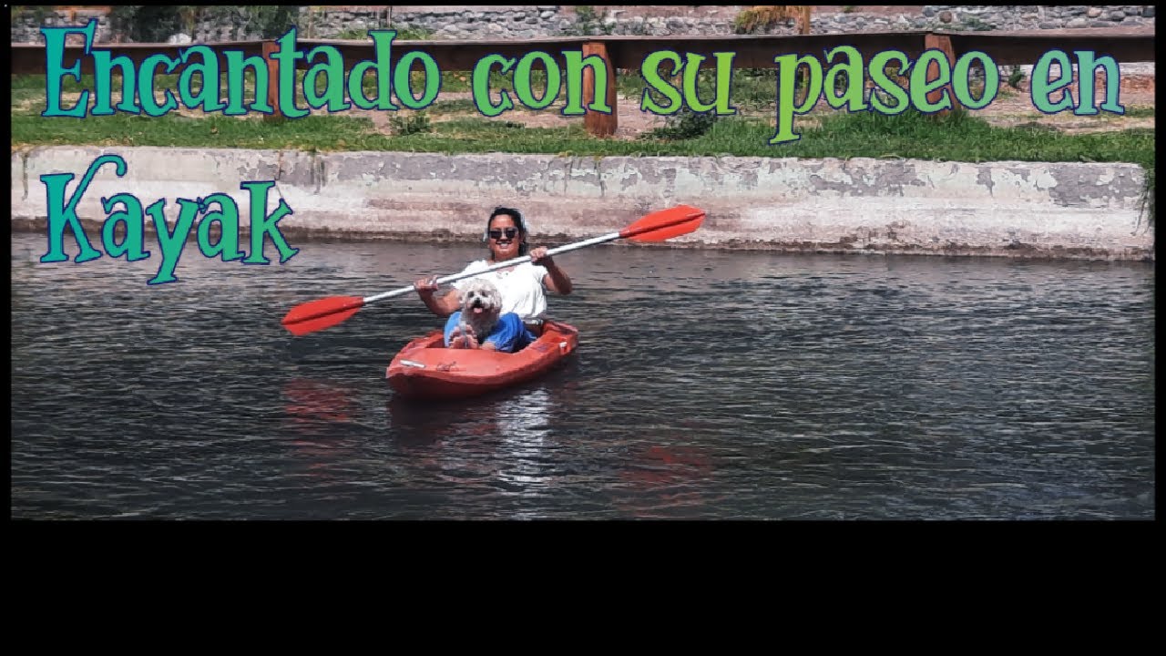 Parque El Trapiche en Peñaflor, con los roedores más importantes de América del Sur