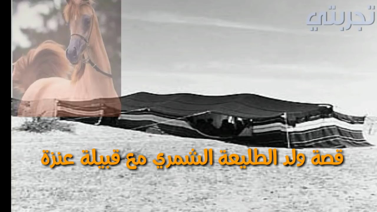 قصة الشمري ولد الطليعة مع قبيلة عنزة