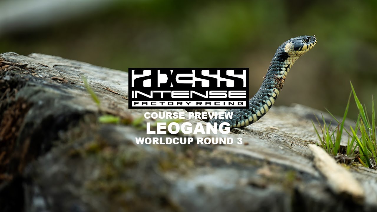 LEOGANG // ROUND 3 // COURSE PREVIEW