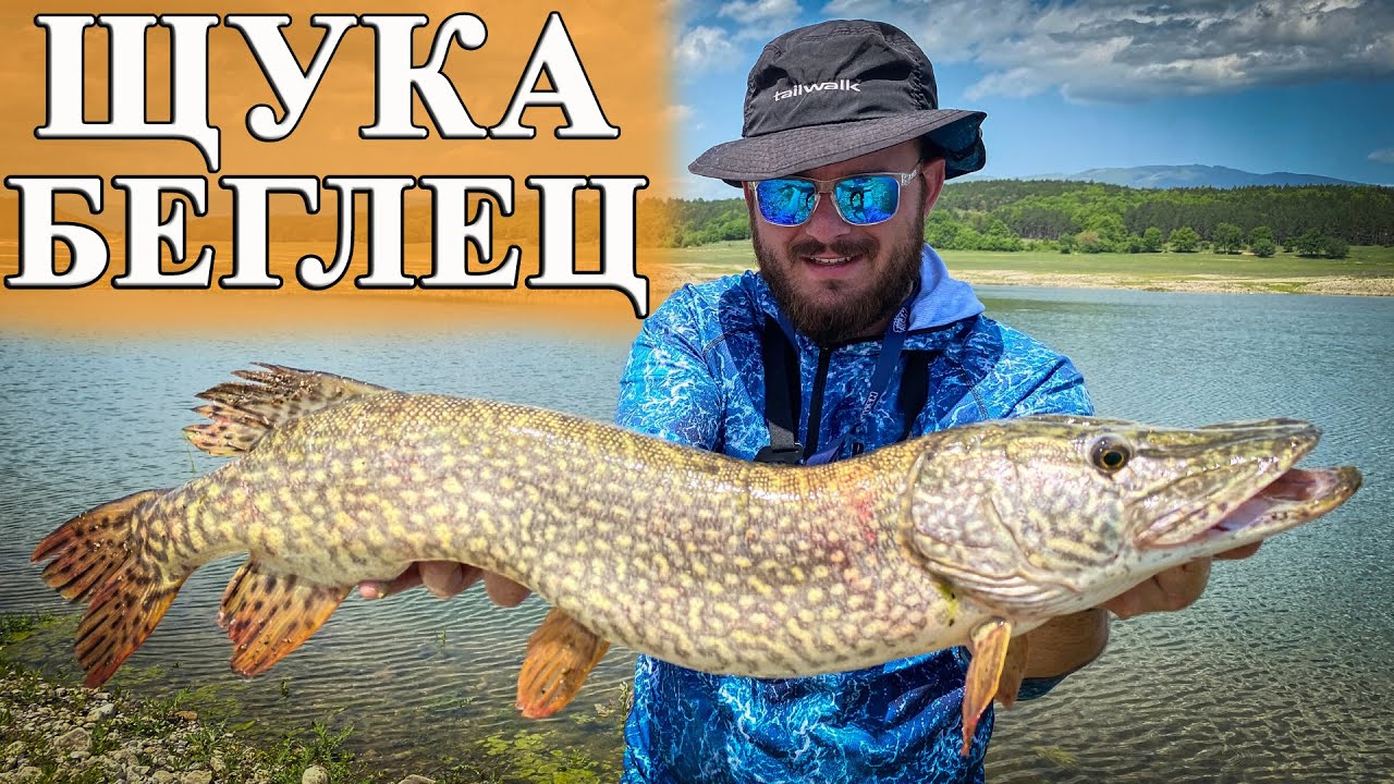 За щуки на язовир Жребчево. Риболов на щука с воблер