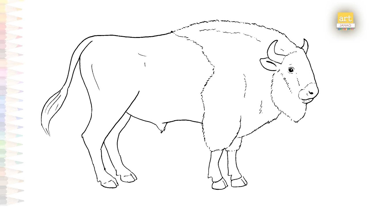 American bison drawings easy | Animal drawing tutorial | How to draw American bison step by step