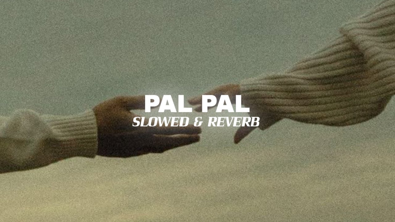 PAL PAL ( WITH TALWINDER ) - AFUSIC