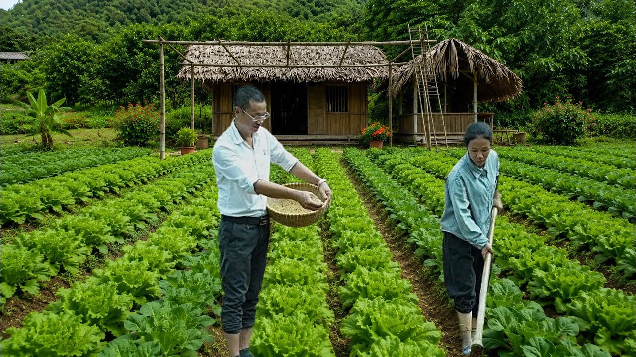 After So Much Turmoil, Tu Tieu and Uri Finally Enjoy Days of Peace ,Ly Tu Tieu 