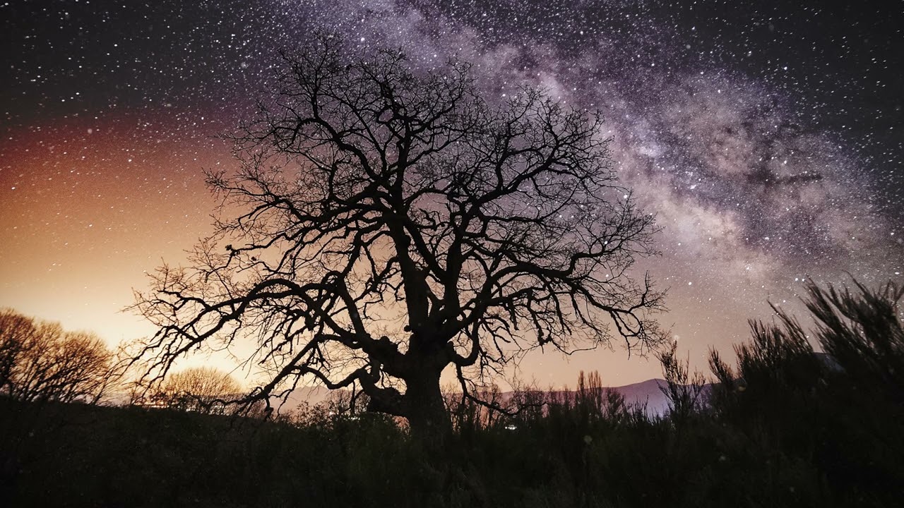 A Dream To Keep - By Merrigan (Lyric video)