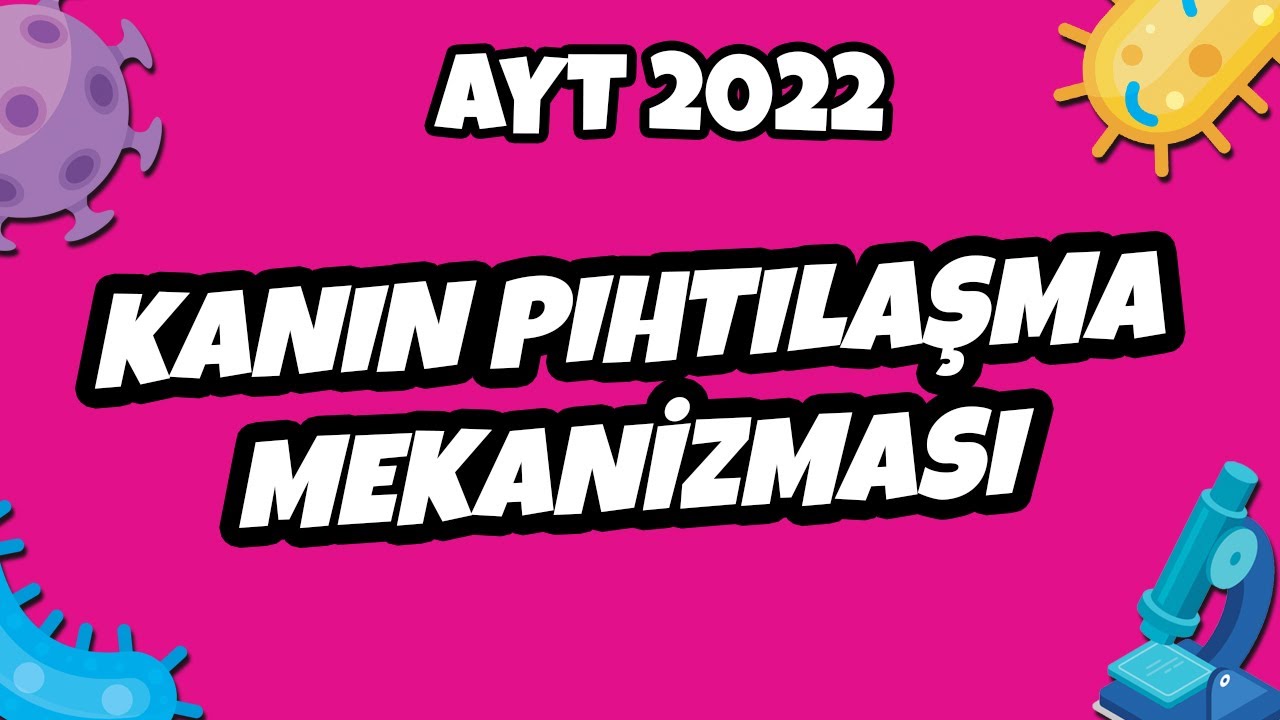 Kanın Pıhtılaşma Mekanizması | AYT Biyoloji 2022 #hedefekoş