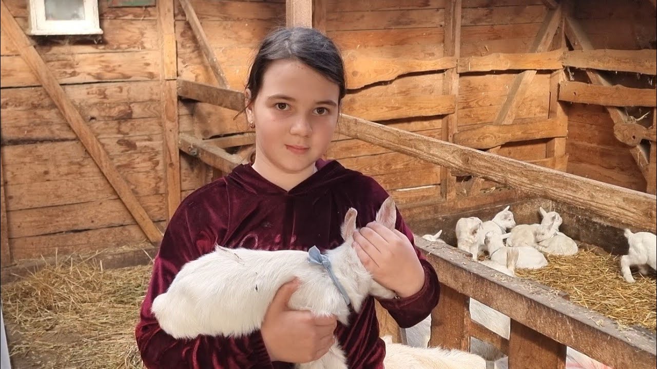 Fată caprele ( Ep. 6 )  Un pic mai bine astăzi  ! 