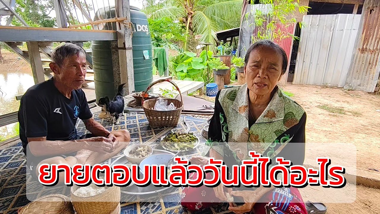 ยายตอบแล้ววันนี้ได้อะไร