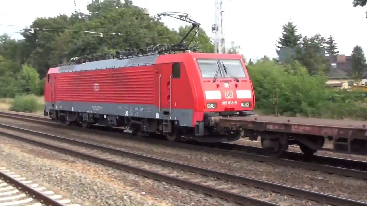 Sichtungen aus Priort und Hohen Neuendorf West