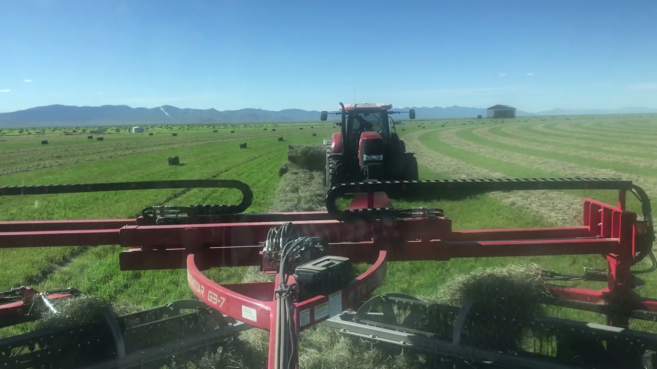 Baling Orchard Grass 2019 - Freeman balers vs the wind