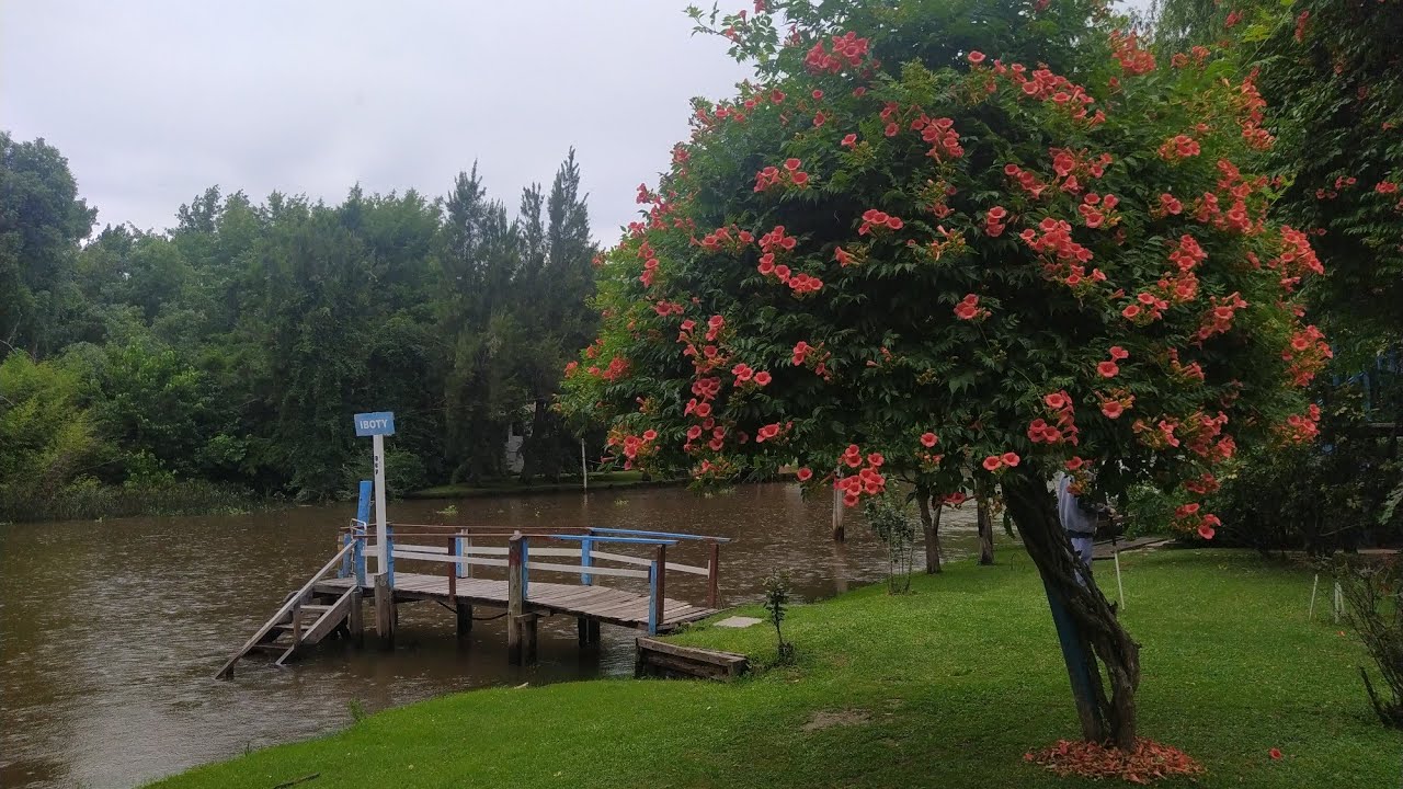 3 contras de vivir en el DELTA