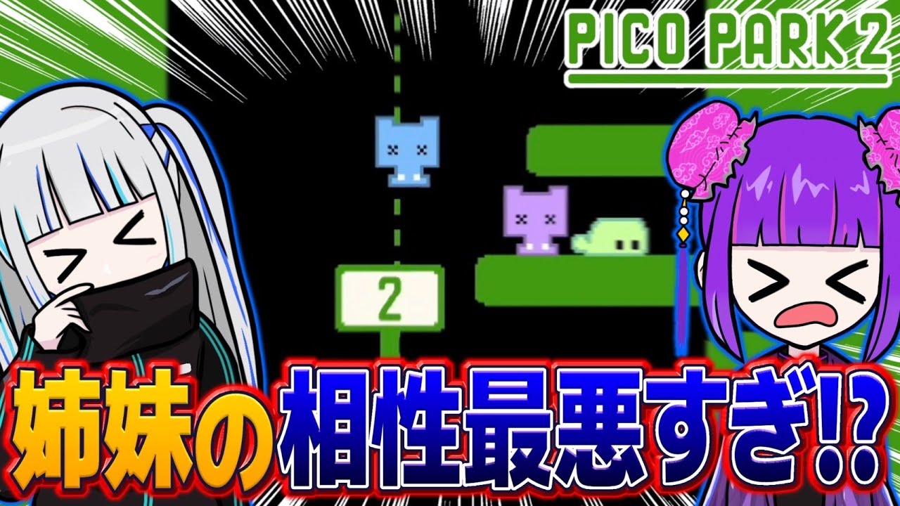 チームプレイが大事なのに全然息が合わず大ピンチな事態www【ピコパーク2】
