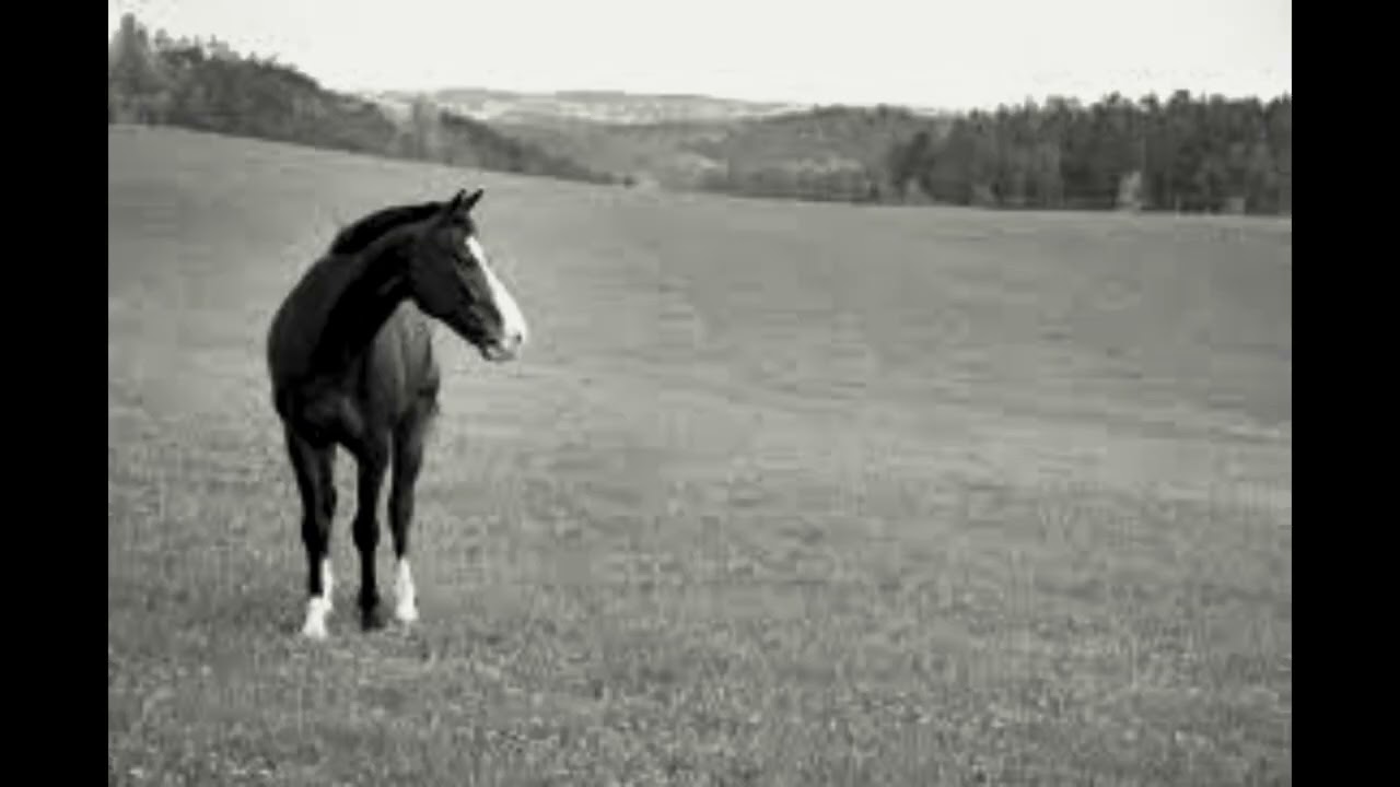 {FREE FOR PROD} + REXV2 TYPE BEAT-145BPM