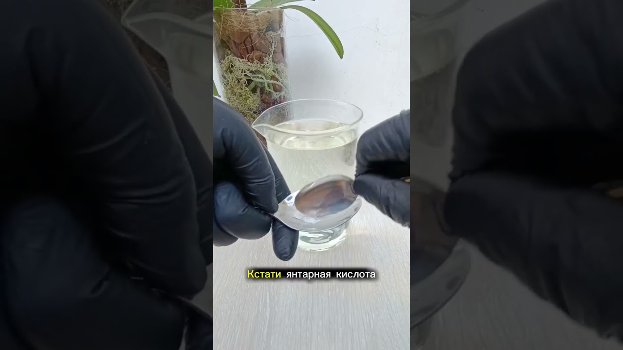 Янтарная кислота+аммиак,удобрение бустер для орхидей#orchid #plants #янтарнаякислота #удобрение