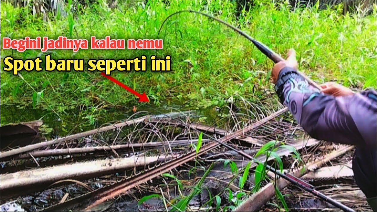 Asliii.... !!!   Rasanya nggak mau pulang Nemu spot yang belum pernah terjamah 