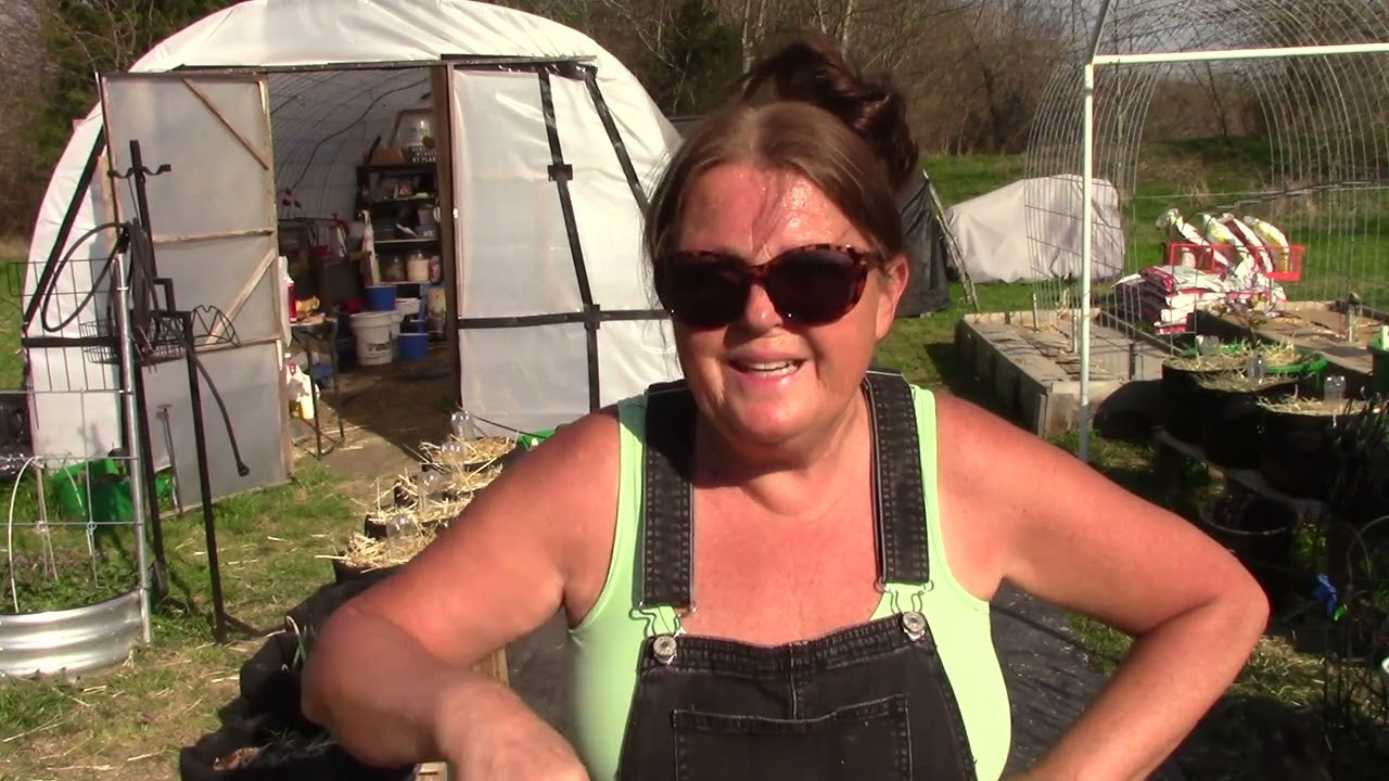 Our Property #807 Refreshing grow bags and laying more cloth