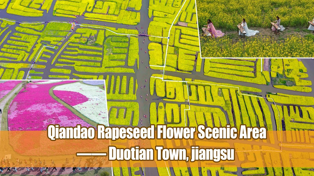 CHINA TODAY II EP35：Qiandao Rapeseed Flower Scenic Area&mdash;&mdash; Duotian Town, jiangsu