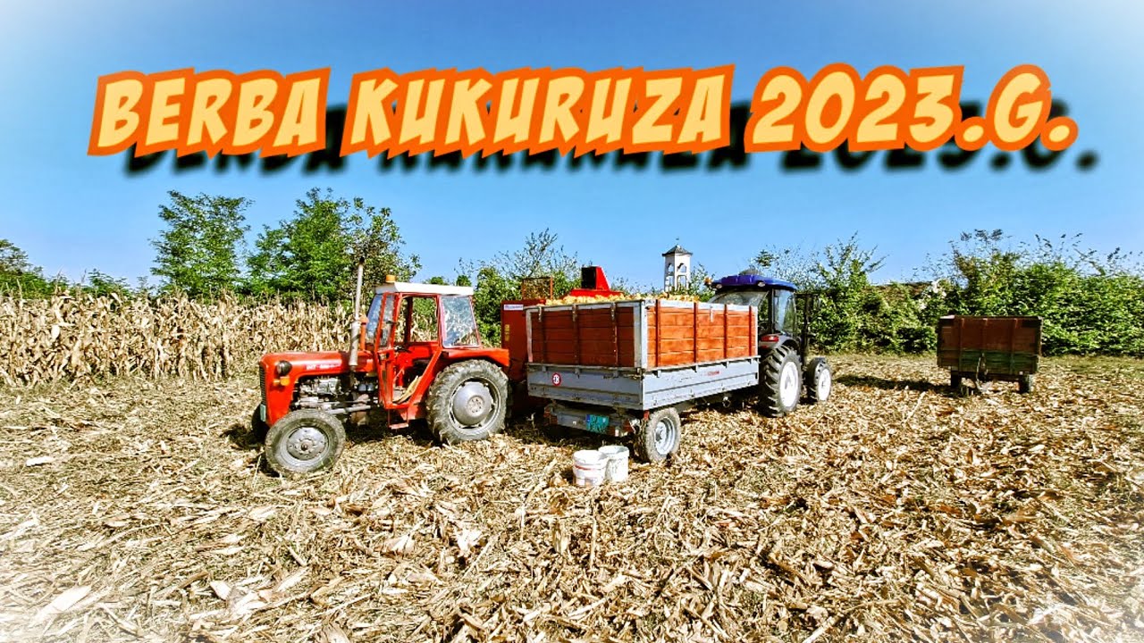 Berba kukuruza 2023.godine!