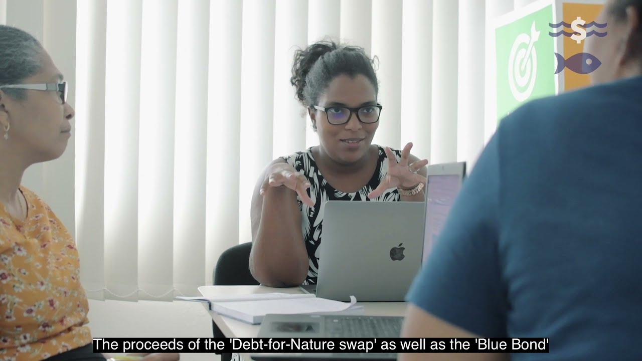 Case Study: Debt for Conservation Swap, Seychelles&rsquo; Conservation and Climate Adaptation Trust