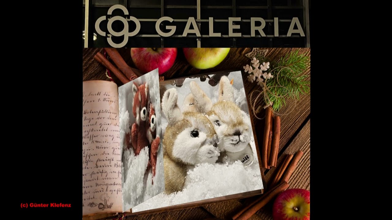 Bilder Galleria 2023