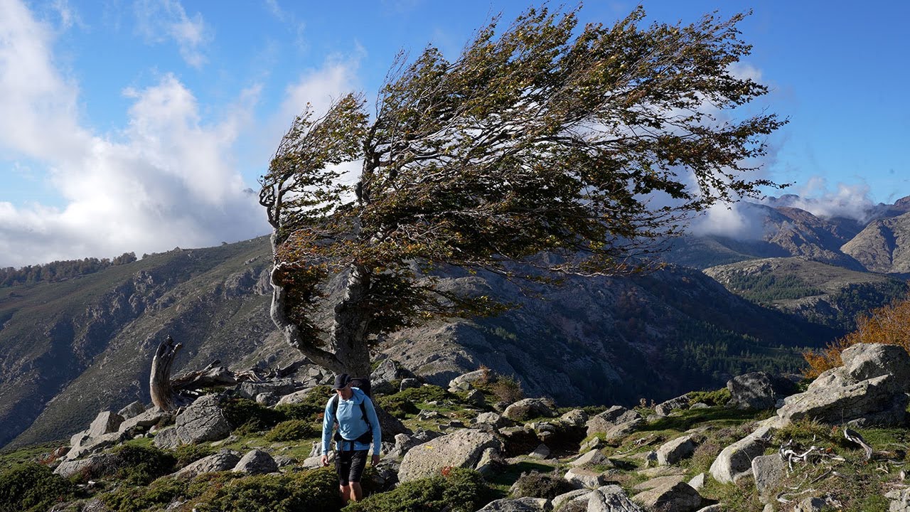 Guide for the Hardest Hike in Europe | GR20 Corsica France