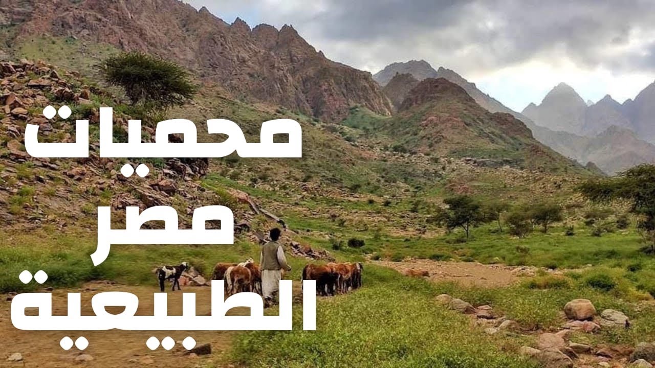 محميات مصر الطبيعية ... وثائقي عن المحميات الطبيعية في مصر