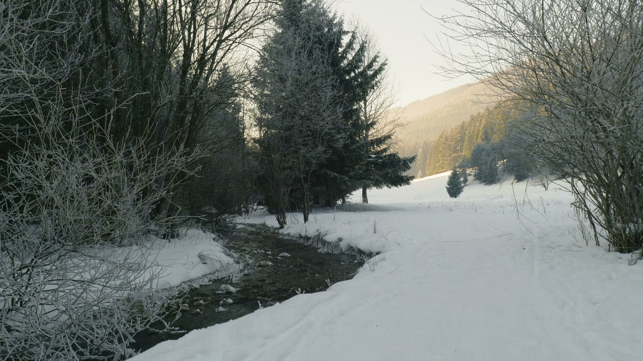 3 HOURS Frozen Forest Morning: Calming Stream & Winter Sunrise (4K)