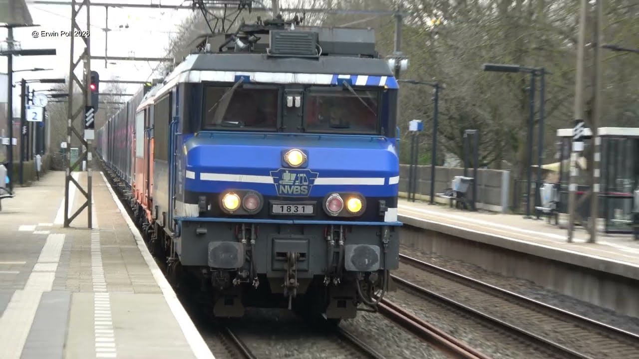 Special jubileumlocomotief NVBS 1931 95 jarig jubileum Rail Force One RFO 1831 Colmschate27 Feb 2026