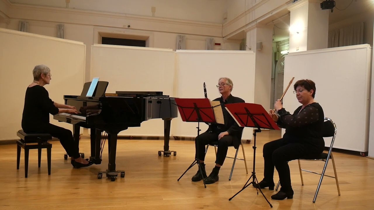 Sean Salamon: Trio for Flute, Clarinet, and Piano