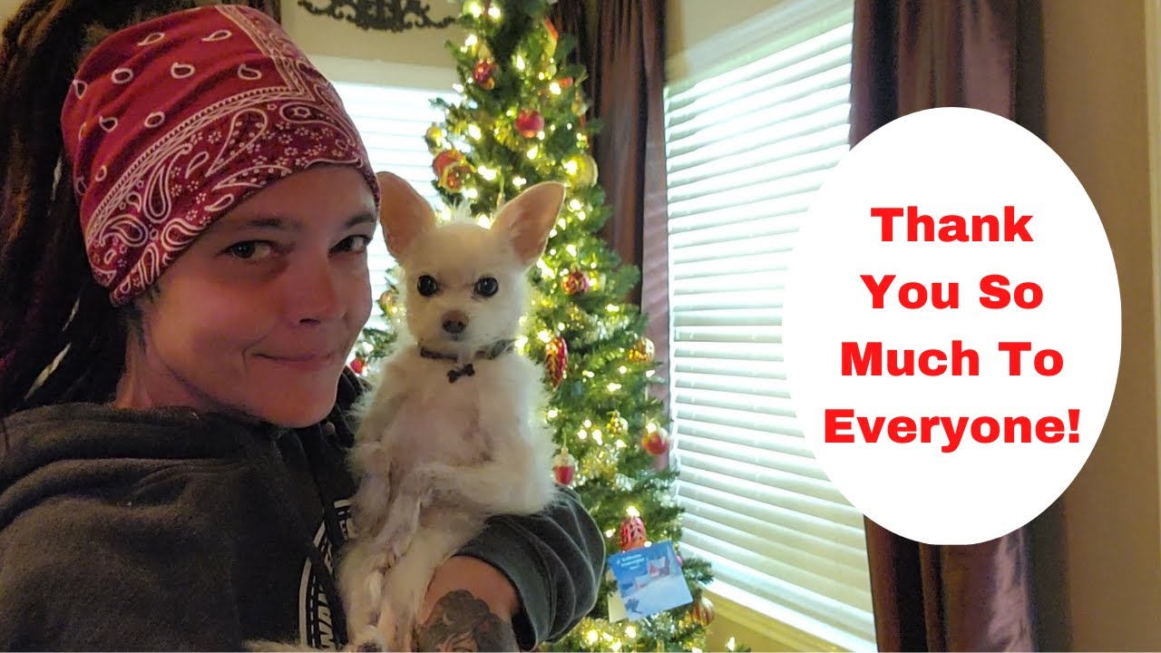 Opening All My Amazon Wishlist Gifts - Another Vlogmas