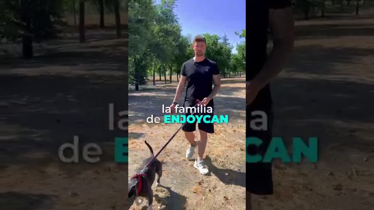 5 cosas que tu perro hace y NO son normales (La #4 te sorprenderá) 😱