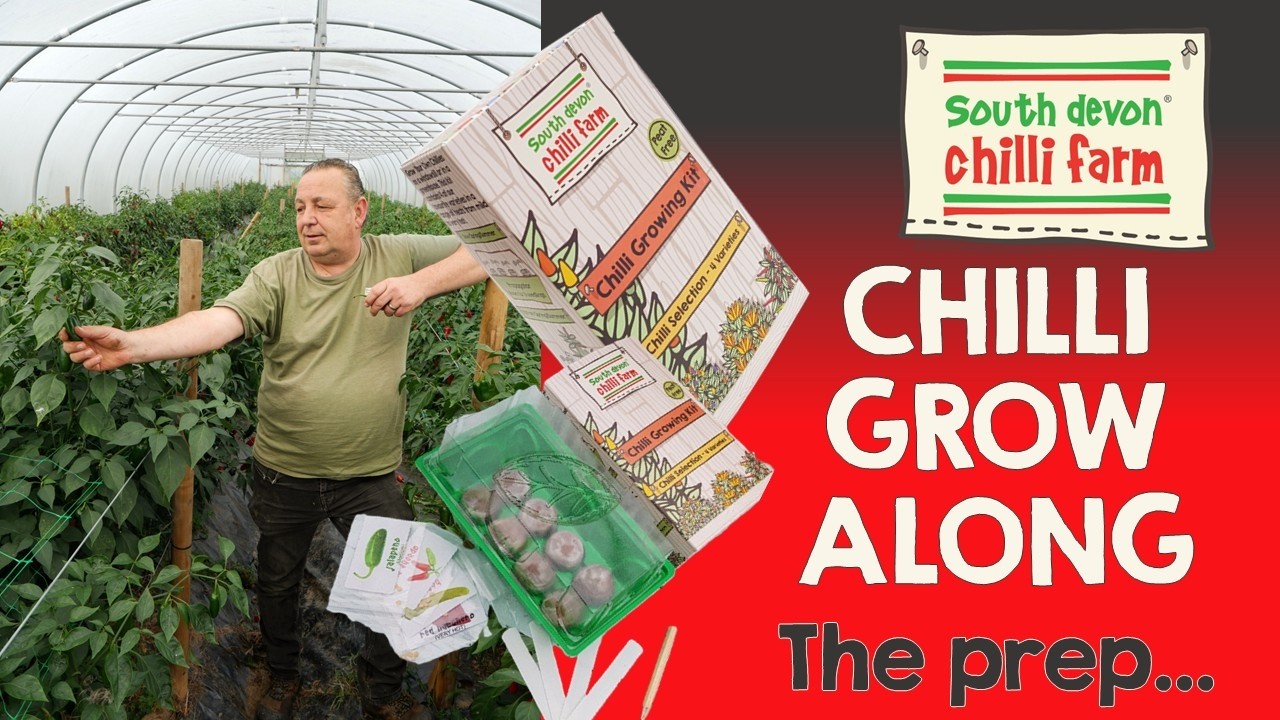 CHILLI GROW ALONG - the prep stage!