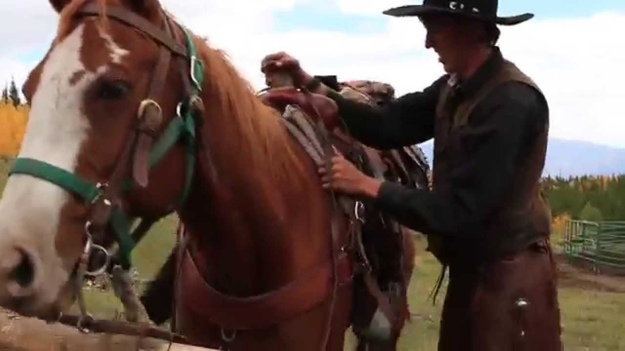 Using Horses for Hunting