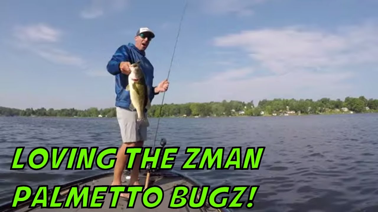 Creature Baits for Largemouth Bass - Zman Palmetto Bugz Tackle Review