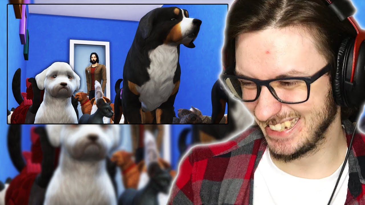 Daxellz Reacts to LetsGameItOut I Abducted Everyone's Pets and Ruined the Neighborhood in The Sims 4
