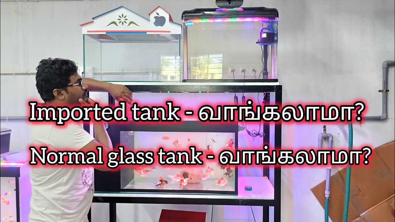Imported tank best-ஆ glass tank best-ஆ #chennai #salem #aquarium #fish #glass #video##shorts