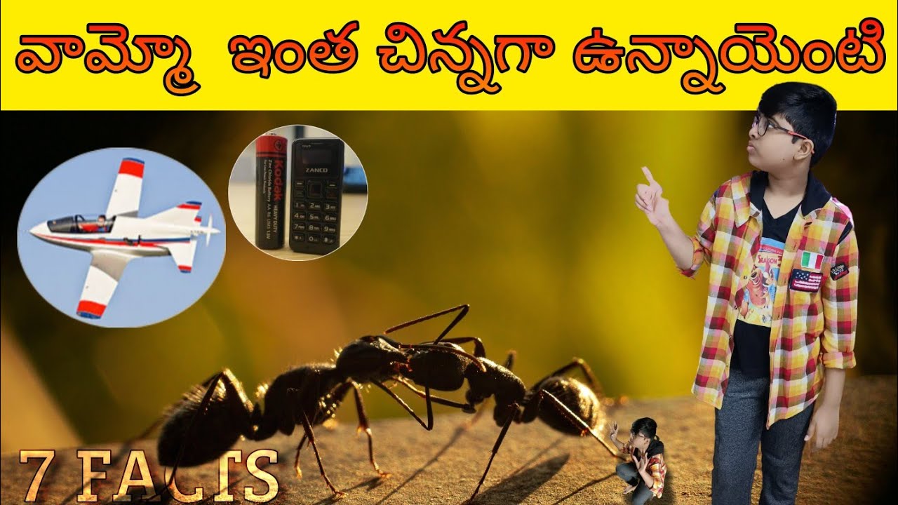 7 AMAZING FACTS ABOUT WORLD SMALLEST THINGS..||#FACTS||#FACTSGV||Geetha Vlogs