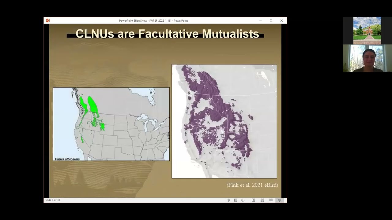 Clark's Nutcracker Resource Use in the Greater Yellowstone & North Cascades Ecosystems, T. Schaming