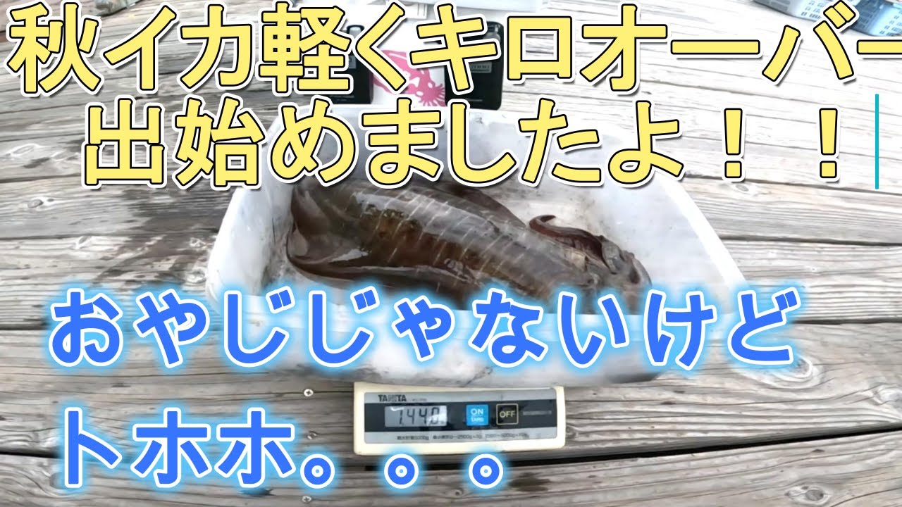 還暦元気おやじのアオリイカ釣りチャレンジ　VOL85